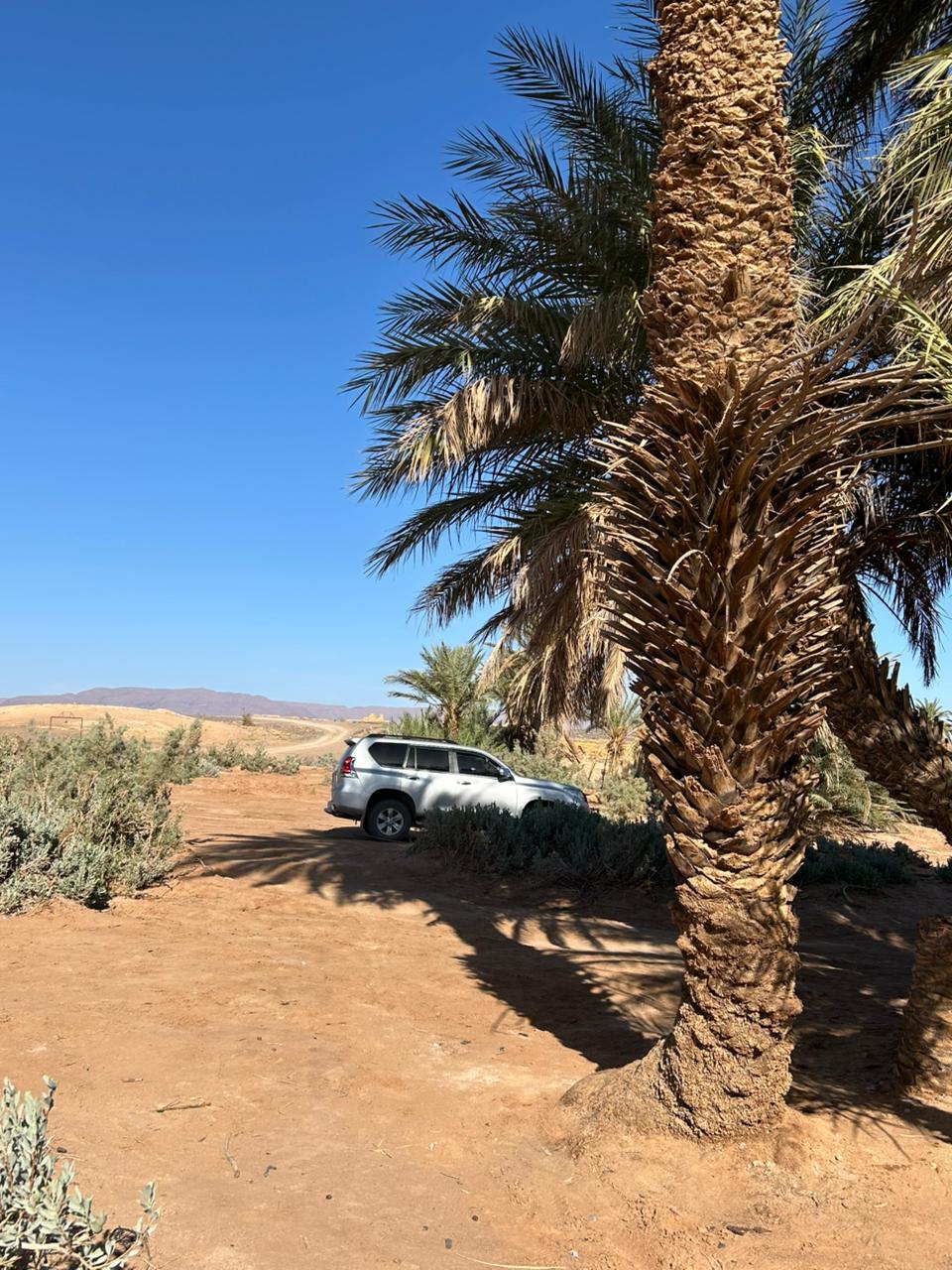 Jeep tour through Moroccan desert and oasis